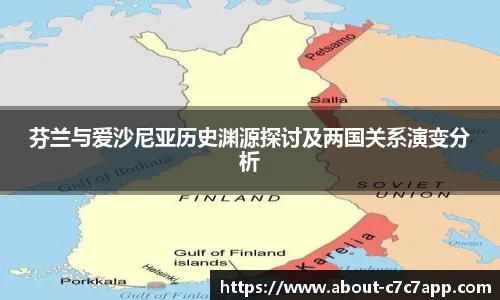 芬兰与爱沙尼亚历史渊源探讨及两国关系演变分析