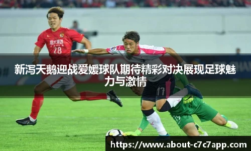 新泻天鹅迎战爱媛球队期待精彩对决展现足球魅力与激情