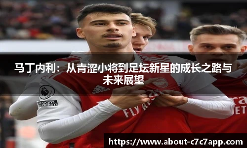 马丁内利：从青涩小将到足坛新星的成长之路与未来展望